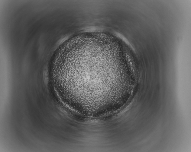 X0000112161213200908211427
