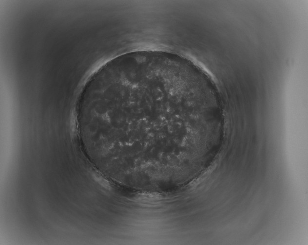X0000112161215200908211427