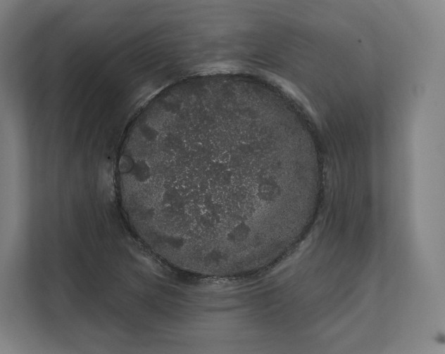 X0000112161217200908211427