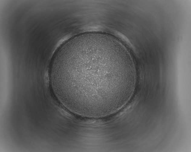 X0000112161218200908211427