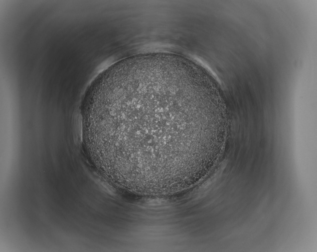 X0000112161219200908211427