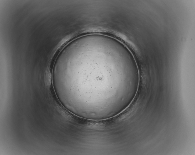 X0000112161221200908211427