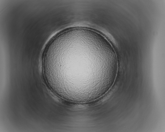 X0000112161224200908211427