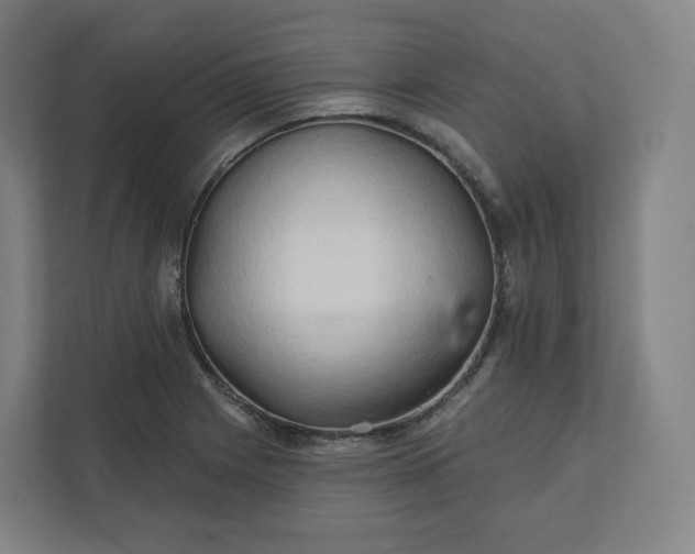 X0000112161225200908211427