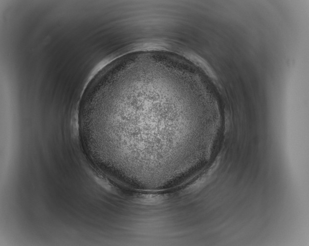X0000112161226200908211427