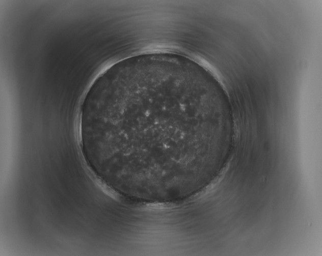 X0000112161227200908211427