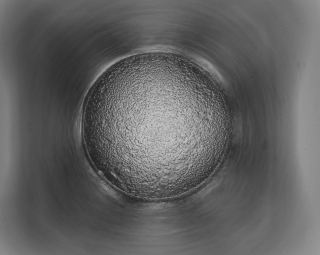 X0000112161228200908211427