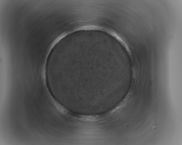 X0000112161229200908211428