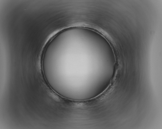 X0000112161230200908211428