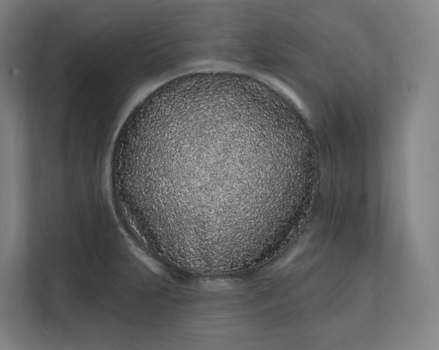 X0000112161231200908211428