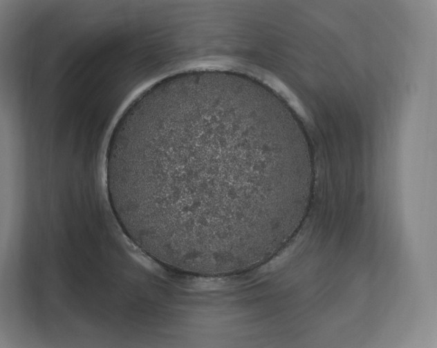 X0000112161232200908211428