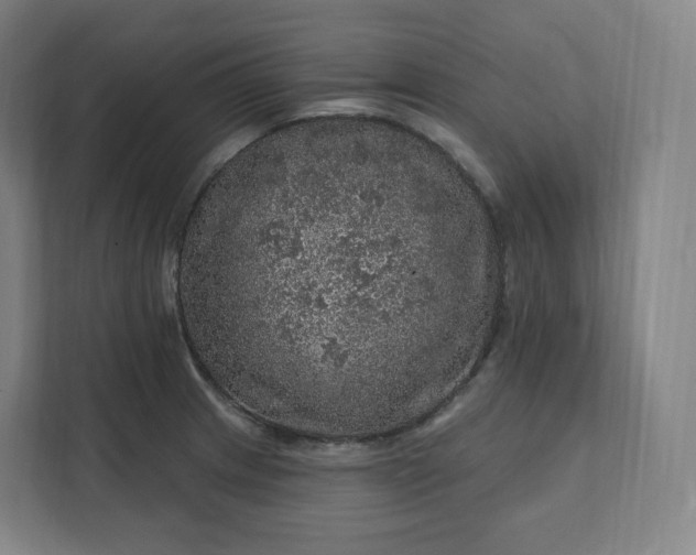 X0000112161233200908211428