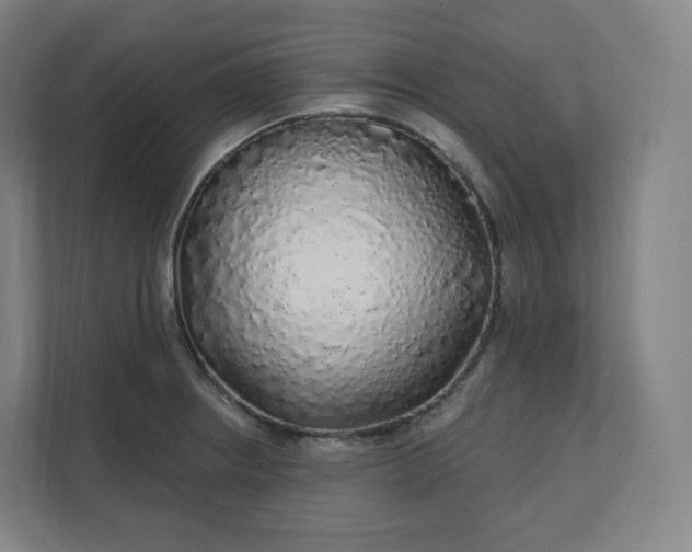 X0000112161234200908211428