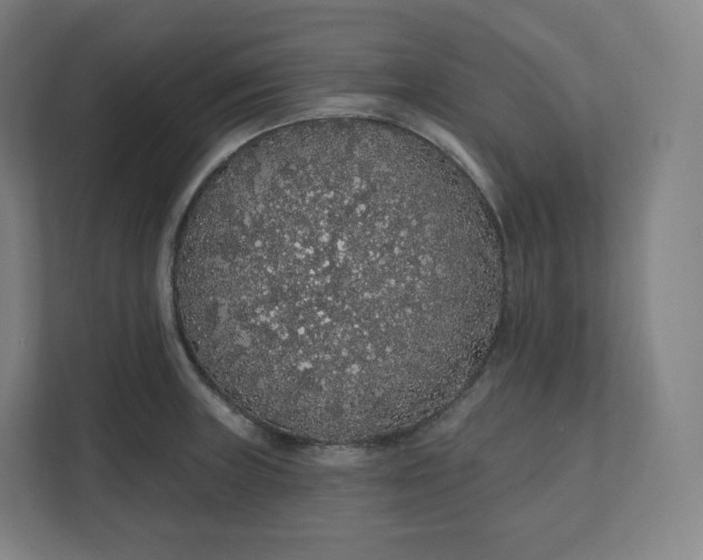X0000112161235200908211428