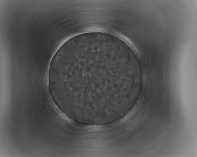 X0000112161236200908211428