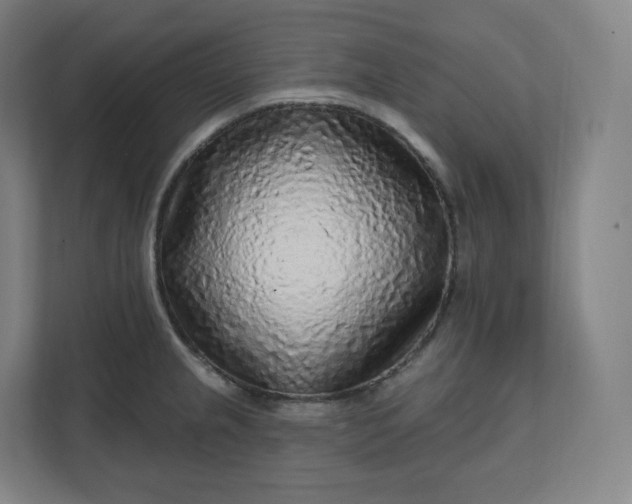 X0000112161237200908211428