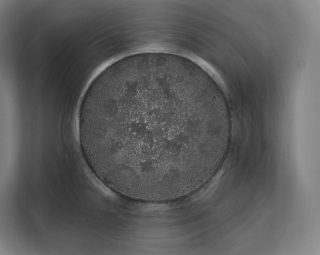 X0000112161238200908211428