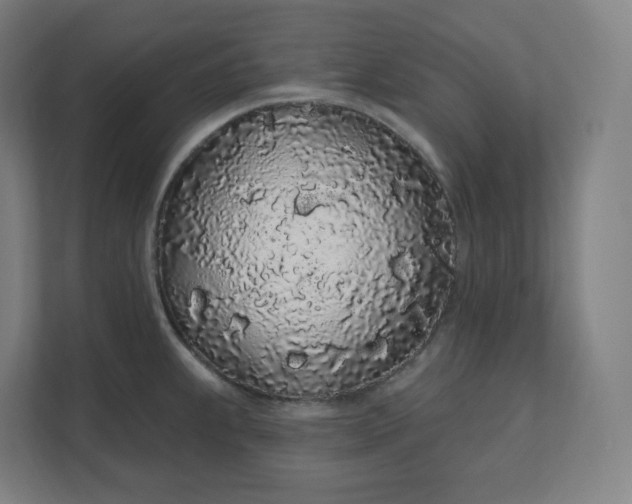 X0000112161239200908211428