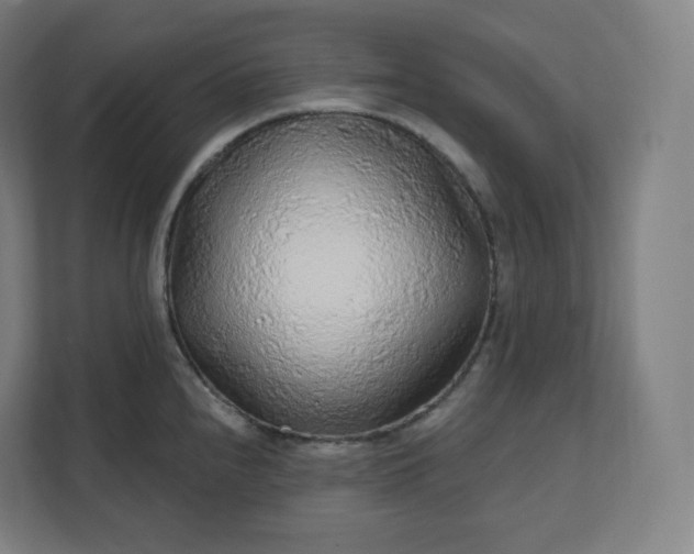 X0000112161240200908211428