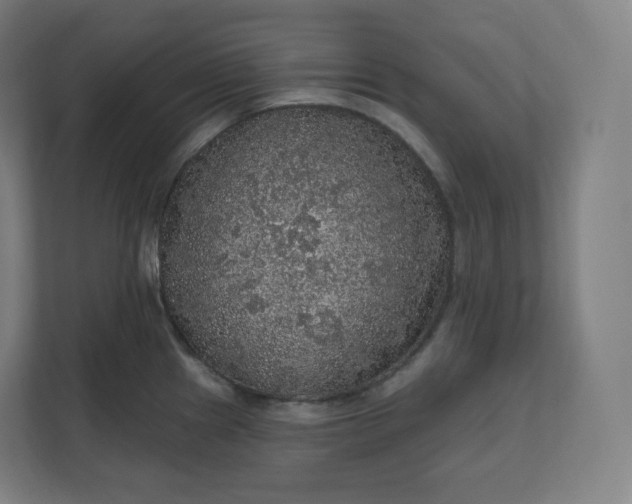 X0000112161241200908211428