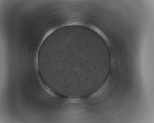 X0000112161242200908211428