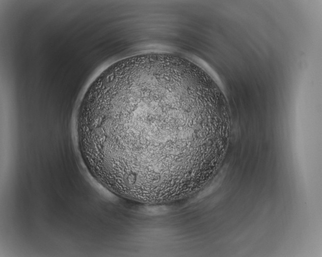 X0000112161243200908211428