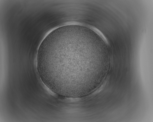 X0000112161244200908211428