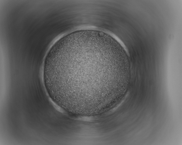 X0000112161245200908211428
