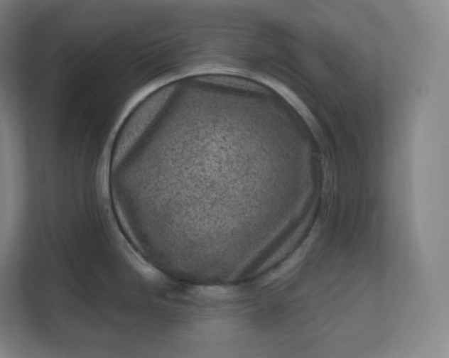 X0000112161246200908211428