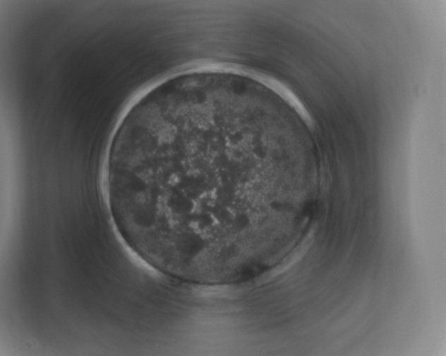 X0000112161247200908211428