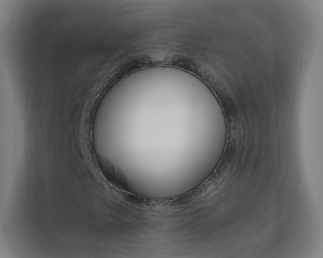 X0000112161249200908211427