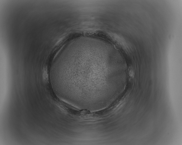 X0000112161252200908211427