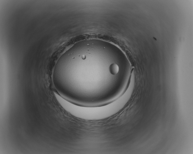 X0000112161253200908211427