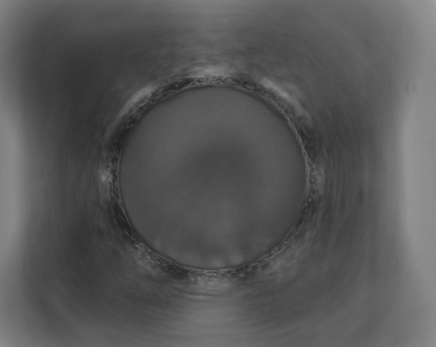 X0000112161254200908211427