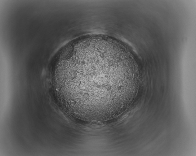 X0000112161255200908211427