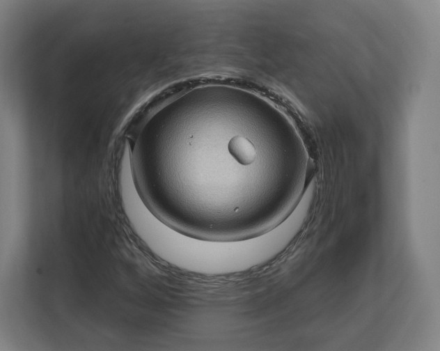 X0000112161256200908211427