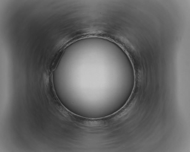 X0000112161257200908211427