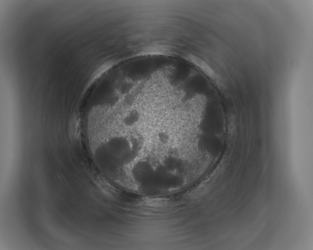 X0000112161258200908211427