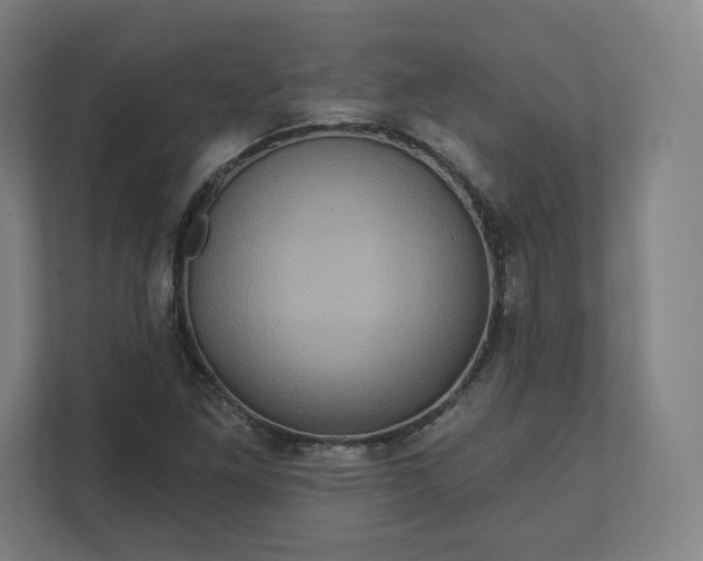 X0000112161261200908211427