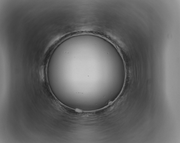 X0000112161262200908211427