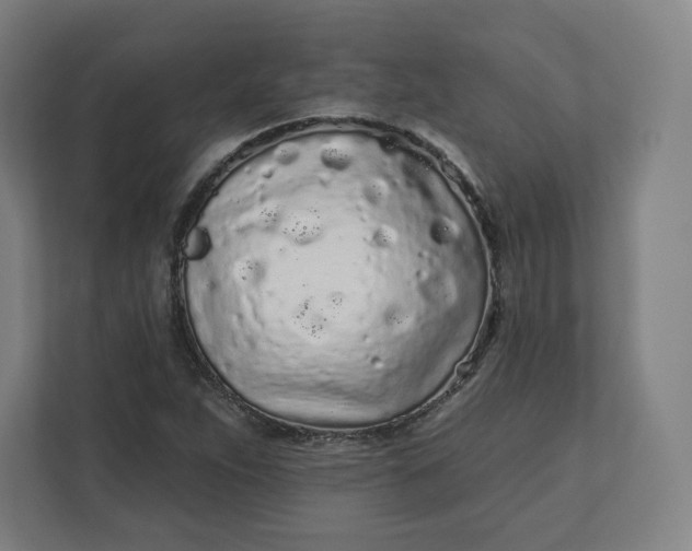 X0000112161263200908211427