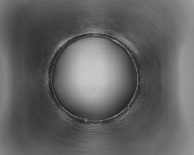 X0000112161264200908211427