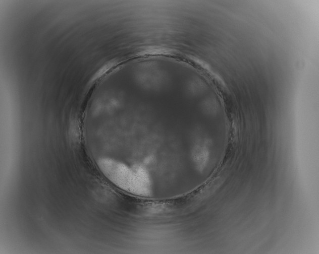 X0000112161266200908211427