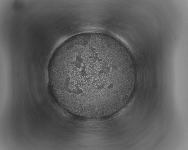 X0000112161267200908211427
