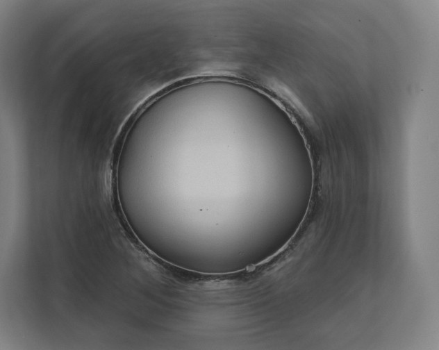 X0000112161268200908211427