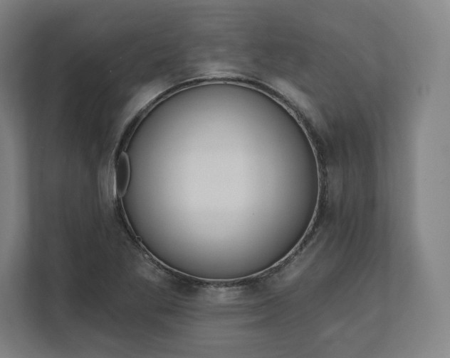 X0000112161269200908211427