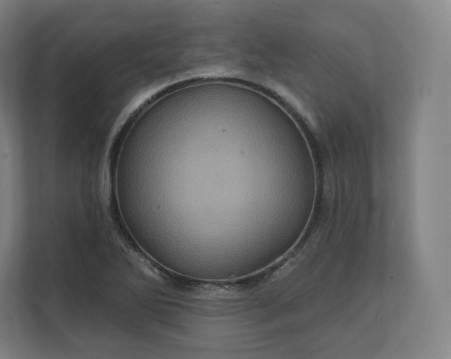 X0000112161270200908211427