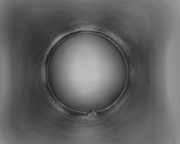 X0000112161272200908211427