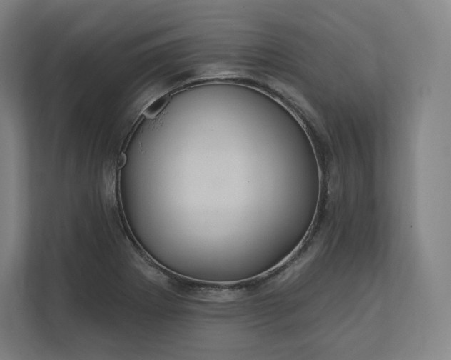 X0000112161273200908211427
