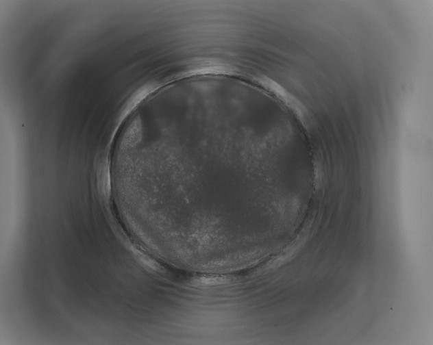 X0000112161274200908211427